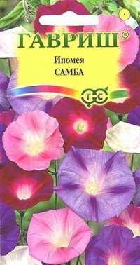 Семена. Ипомея «Самба»