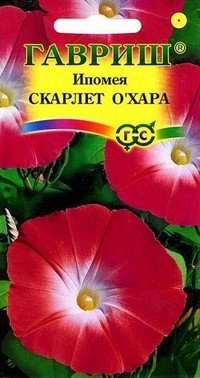 Семена. Ипомея «Скарлет О` Хара», 0,5 г