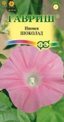 Семена. Ипомея «Шоколад»
