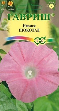 Семена. Ипомея «Шоколад»