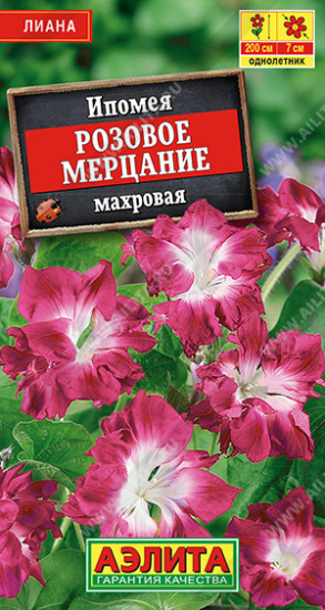 Семена. Ипомея махровая «Розовое мерцание»