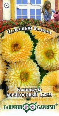Семена. Календула «Абрикосовый джем»