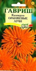 Семена. Календула «Оранжевые лучи», 0,5 г