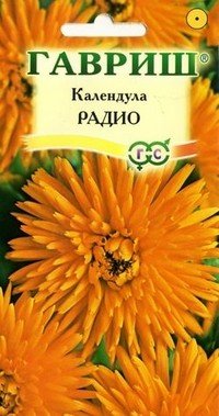 Семена. Календула «Радио»