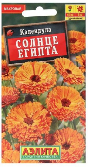 Семена. Календула «Солнце Египта», 0,5 г