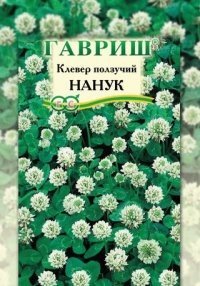 Семена. Клевер ползучий «Нанук»