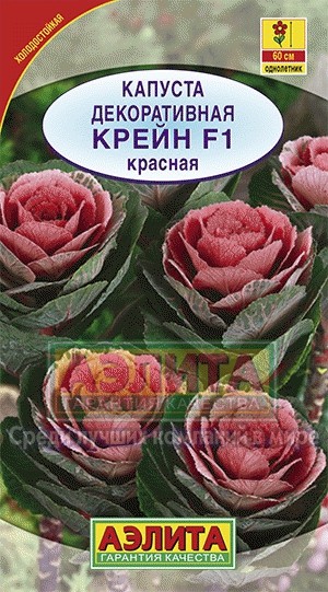 Капуста декоративная «Крейн красная F1», 7 шт