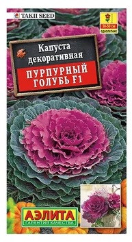 Семена. Капуста декоративная «Пурпурный голубь F1», 7 шт