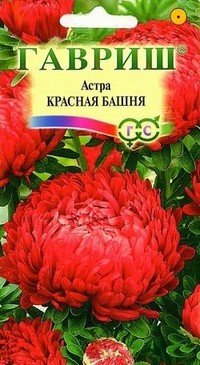 Семена. Астра «Красная башня», 0,3 г