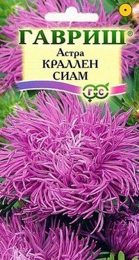 Семена. Астра «Краллен Сиам», 0,3 г