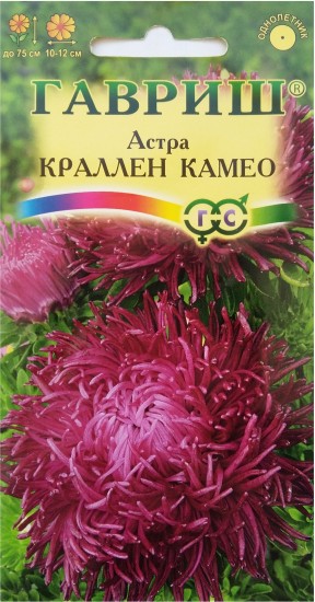 Семена. Астра «Краллен Камео», 0,3 г