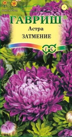 Семена. Астра «Затмение», 0,3 г