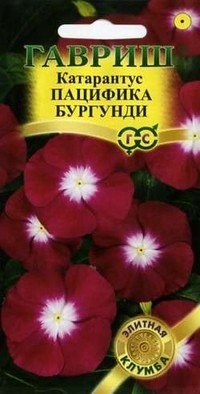 Семена. Катарантус «Пацифика Бургундия», 5 шт