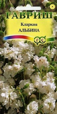 Семена. Кларкия изящная «Альбина», 0,1 г