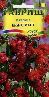 Семена. Кларкия изящная «Бриллиант», 0,1 г