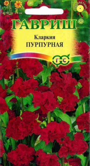 Семена. Кларкия «Пурпурная», 0,1 г