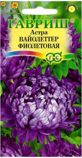 Семена. Астра «Вайолеттер фиолетовая», 0,3 г