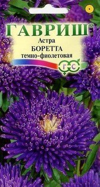 Семена. Астра «Боретта темно-фиолетовая», 0,3 г