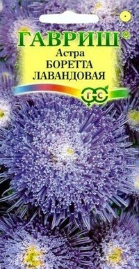 Семена. Астра «Боретта лавандовая», 0,3 г