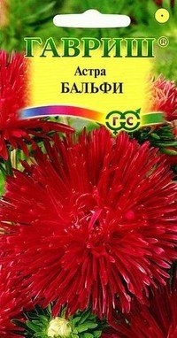 Семена. Астра «Бальфи», 0,3 г