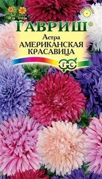 Семена. Астра «Американская красавица», 0,3 г