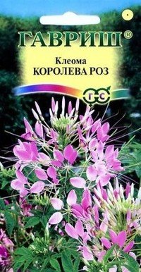 Семена. Клеома «Королева роз», 0,3 г