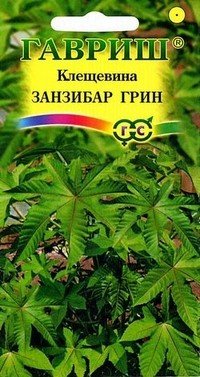 Семена. Клещевина «Занзибар Грин», 5 шт