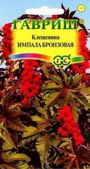 Семена. Клещевина «Импала»
