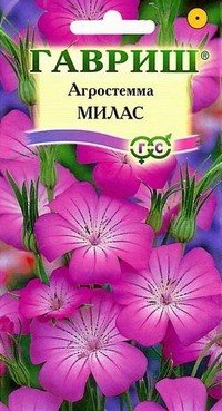 Семена. Агростемма «Милас», 0,5 г | Однолетние цветы (Гавриш) | Гавриш