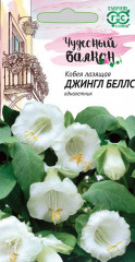 Кобея лазающая «Джингл беллс», 5 шт