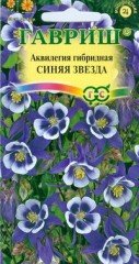 Семена. Аквилегия «Синяя Звезда», гибридная