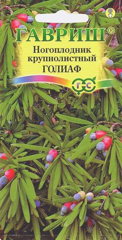 Семена. Ногоплодник круглолистный