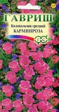 Семена. Колокольчик средний «Карминроза», 0,1 г