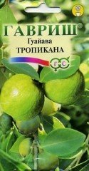 Семена. Гуайава «Тропикана»