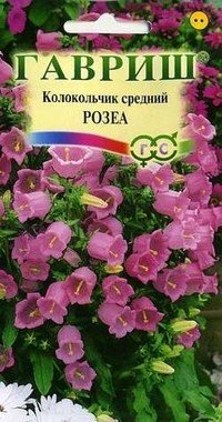 Семена. Колокольчик средний «Розеа», 0,1 г