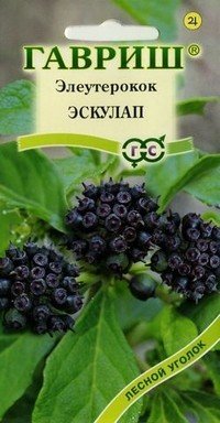 Семена. Элеутерокок колючий