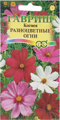 Семена. Космея «Разноцветные огни», 0,5 г