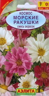 Семена. Космос «Морские ракушки», 0,3 г