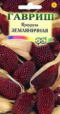 Семена. Кукуруза «Земляничная»