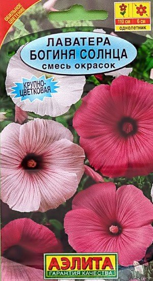 Семена. Лаватера «Богиня солнца», 0,3 г