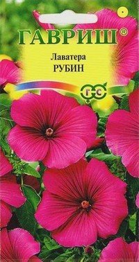 Семена. Лаватера «Рубин», 0,5 г