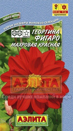 Семена. Георгин «Фигаро»