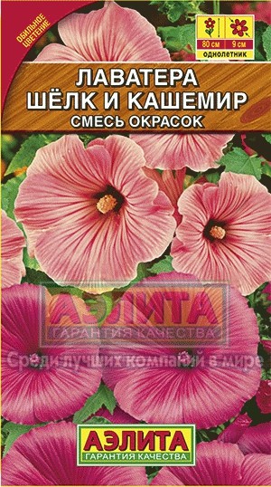 Семена. Лаватера «Шелк и кашемир»