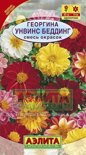 Семена. Георгина «Унвин с Беддинг», 0,3 г