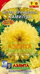 Семена. Астра «Принцесса Камилла», 0,2 г