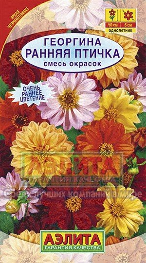 Семена. Георгина «Ранняя птичка», 0,3 г