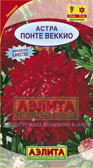 Семена. Астра «Понте Веккио пионовидная», 0,2 г