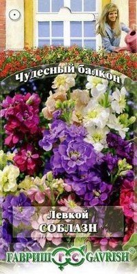 Семена. Левкой «Соблазн», 0,1 г