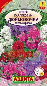 Семена. Левкой карликовый «Дюймовочка», 0,1 г