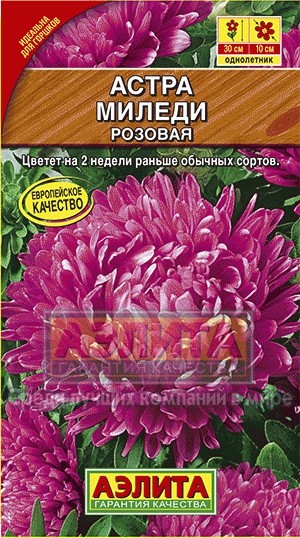 Семена. Астра «Миледи розовая», 0,2 г